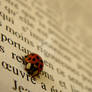 Ladybird II