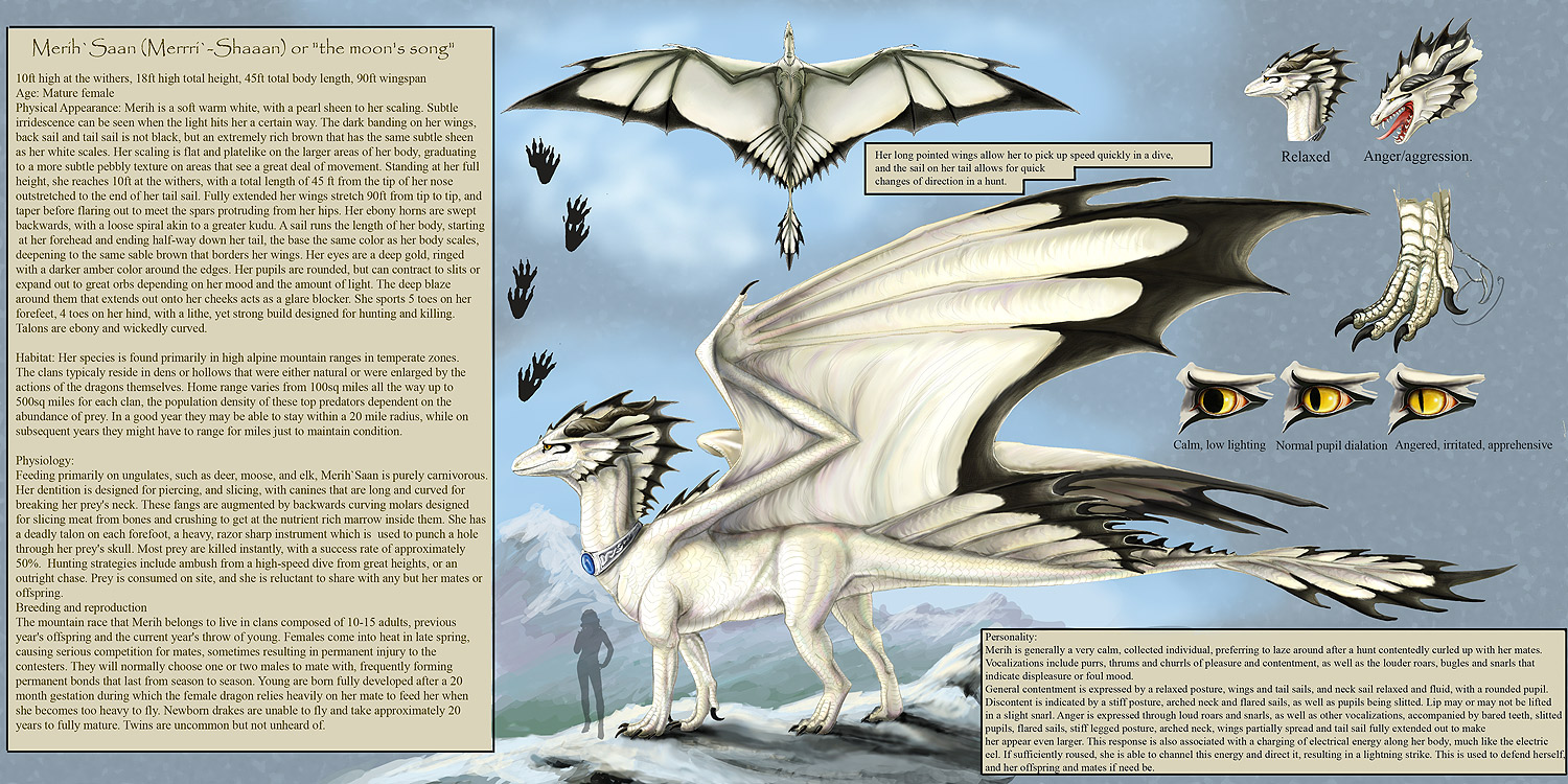 Shard Reference Sheet 2019 by Tank-Dragon on DeviantArt