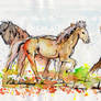 Watercolour Study of Icelandic Horses