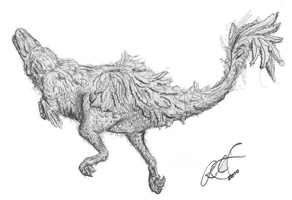Allosaurus Feathered By Oghaki On DeviantArt allosaurus-feathered-by-oghaki-on-deviantart