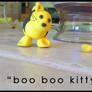 Boo Boo Kitty