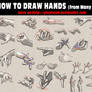 How to draw hands from many views