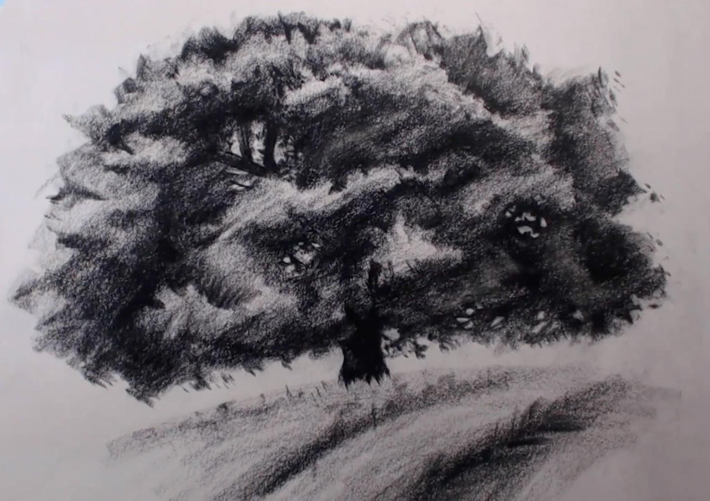 Arbre Tuto By Pitgraf On Deviantart Arbre Tuto By Pitgraf On Deviantart