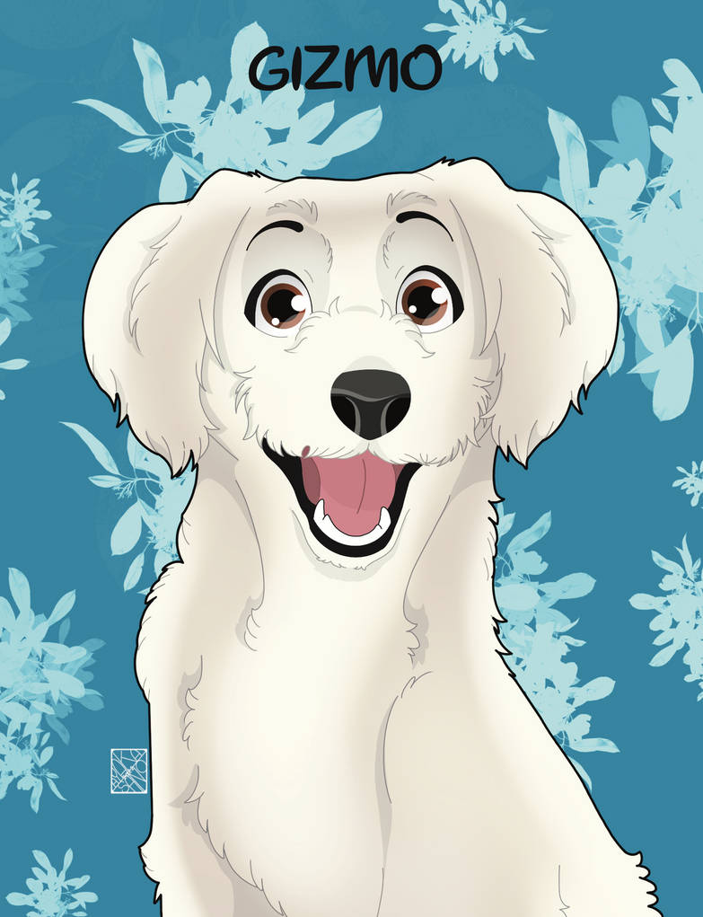 Gizmo by tidbitzwolfie on DeviantArt