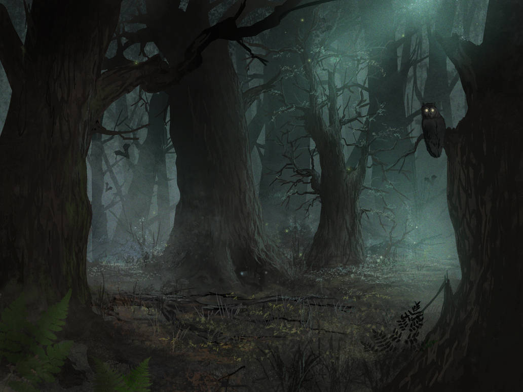 Dark forest by Smekalov on DeviantArt