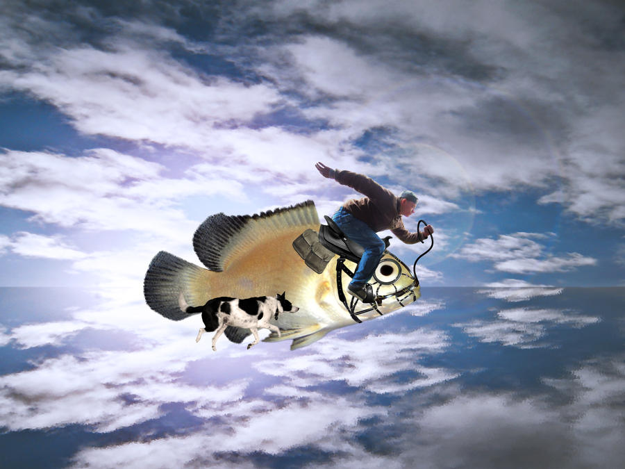 Lets go. Fishy 2 by ericpid on DeviantArt