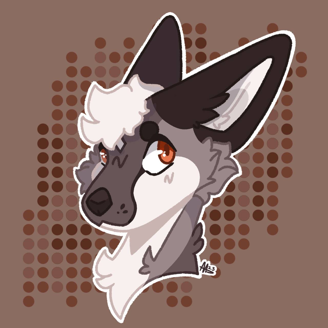 Wool