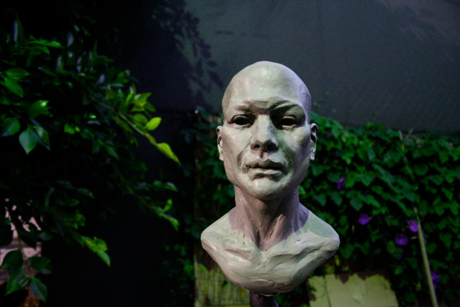 Sculpture: Male Bust 01