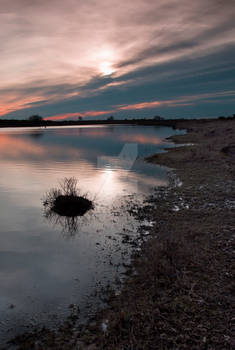 New Forest Winter sunset