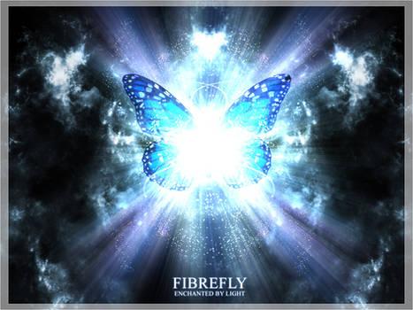 Fibrefly - Enchanted By Light