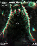Last Memory by Dezigre