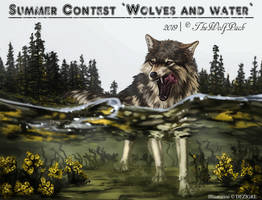 CONTEST - Wolves and water