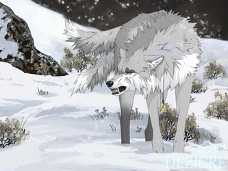 Arctic by Dezigre