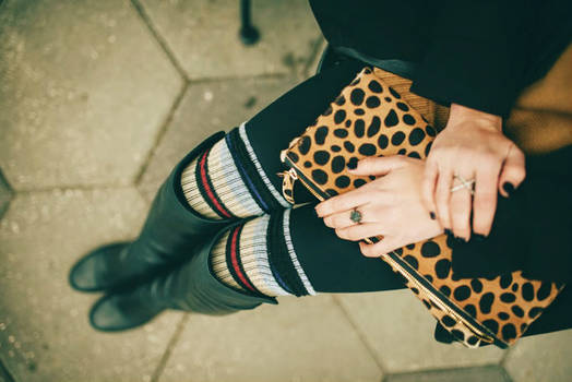 Leopard, Sock and Stripes II