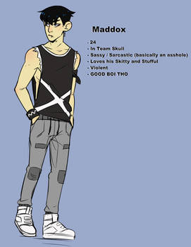 Maddox mini ref thing