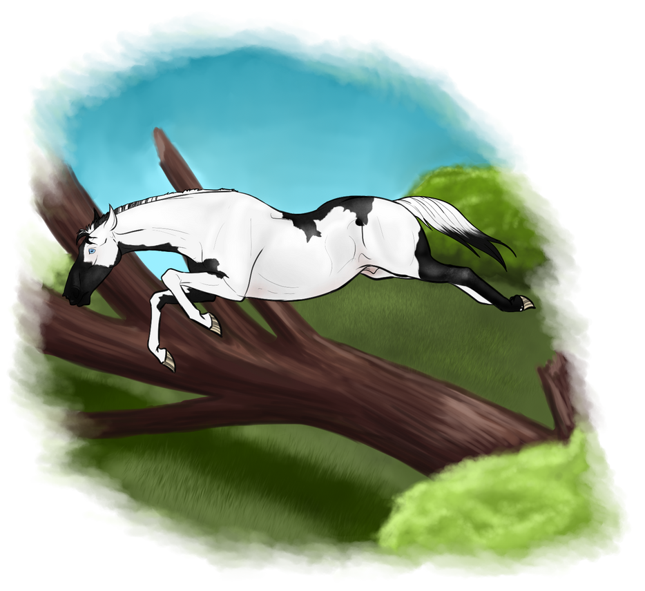Deviantart Animal Jumping Wilderness Jump by TalonV on DeviantArt