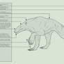 Archaeodon | Anatomy File