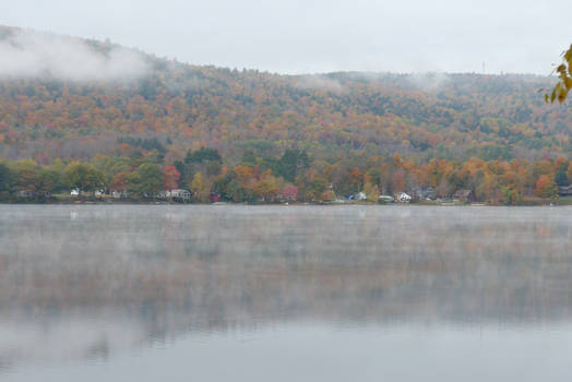 Autumn Trees