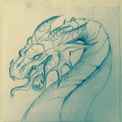 Dragon Sketch