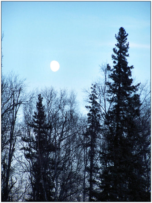 Winter Moon Rise