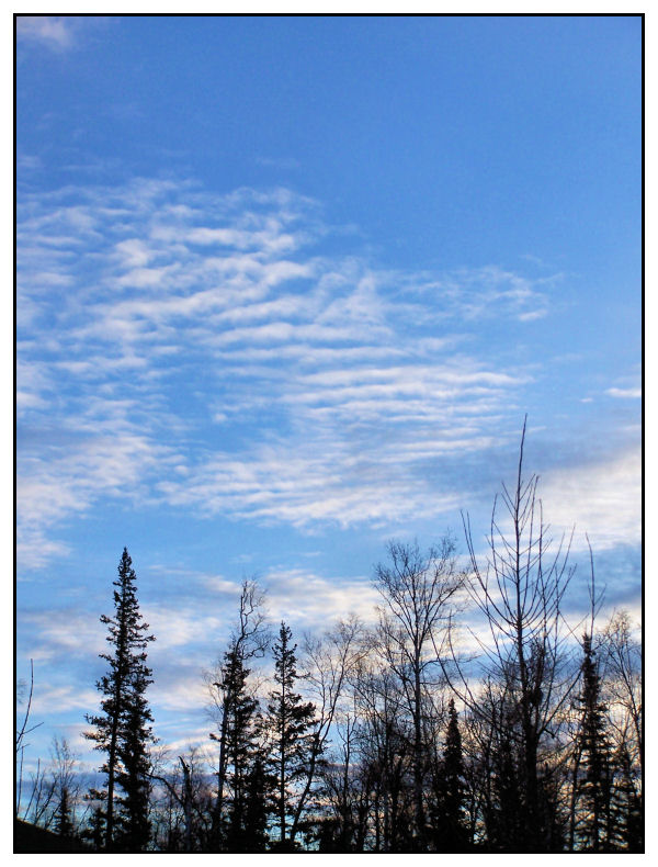 Alaskan Winter Sky