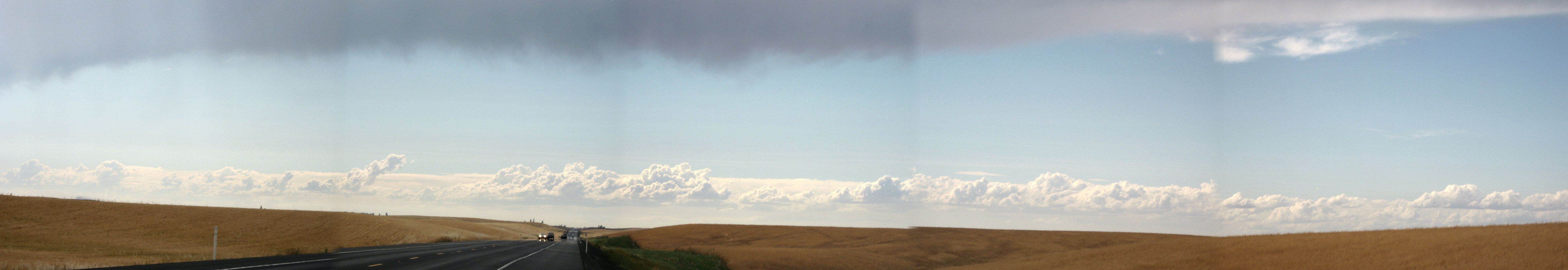 Wheat and Cloud