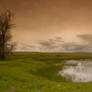 Landscape with Tree and Pond