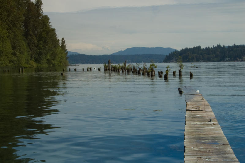 Old, Sinking Dock on Lake