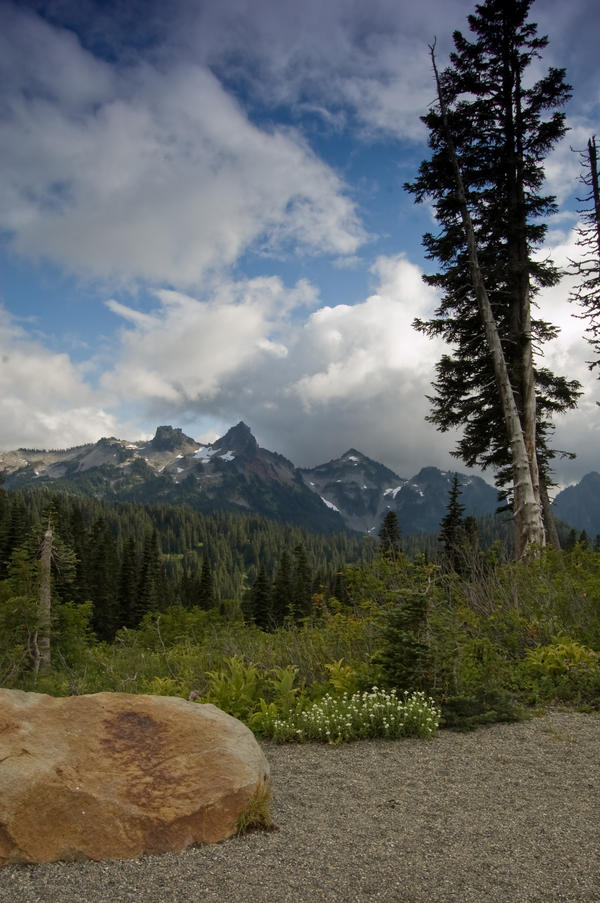 Landscape with Rock and Tree