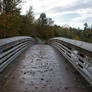 Leaves on Wood Bridge in Park