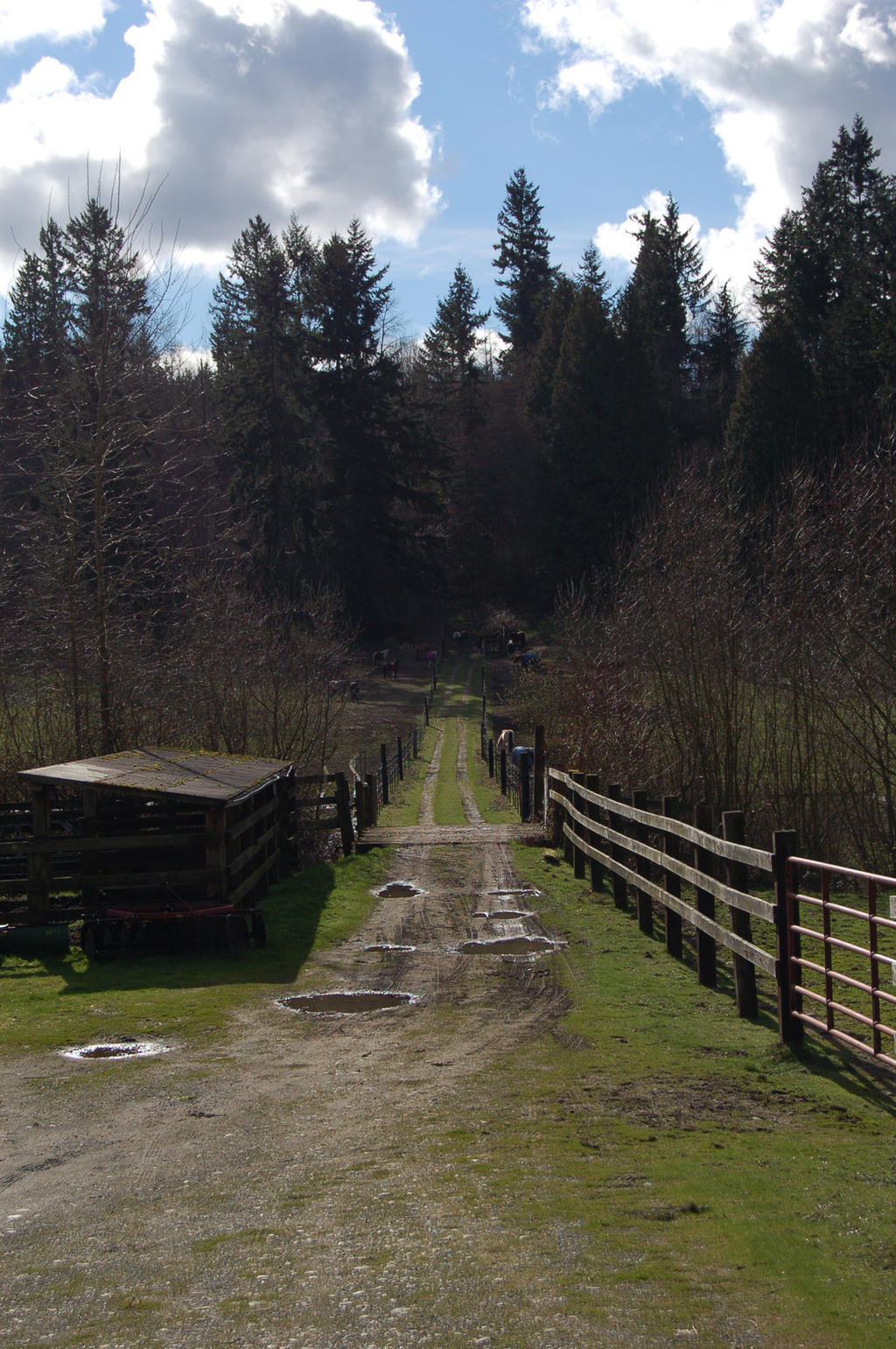 Country Dirt Road