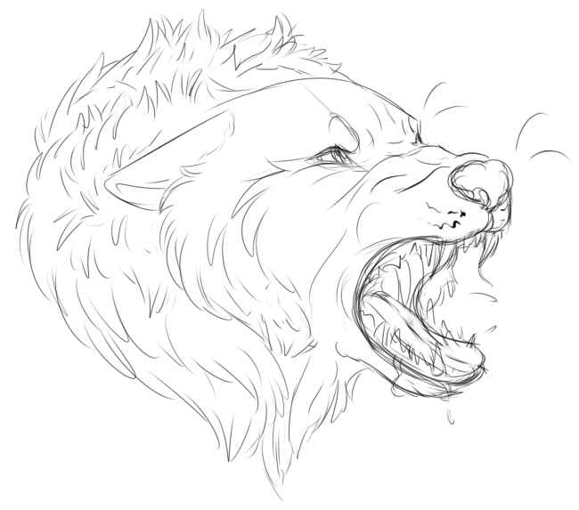 *Aggressively Wolfs At You*