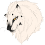 Domiel Headshot