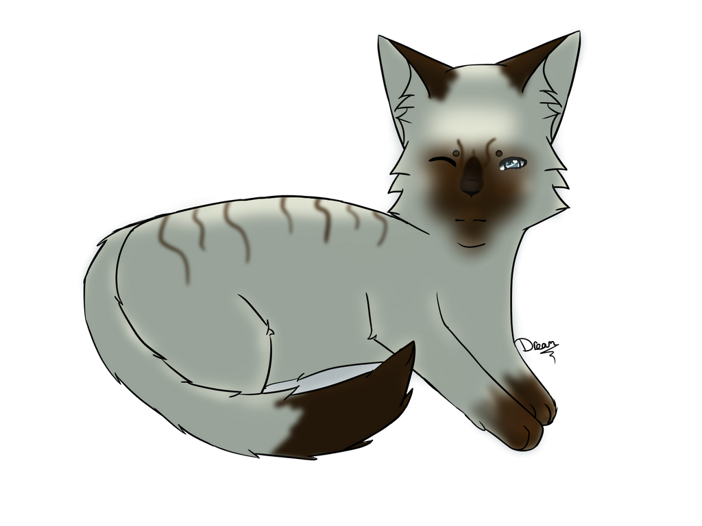 Pretty Kitty by Cinderantris on DeviantArt