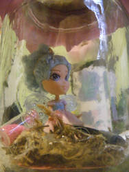 fairy in a jar