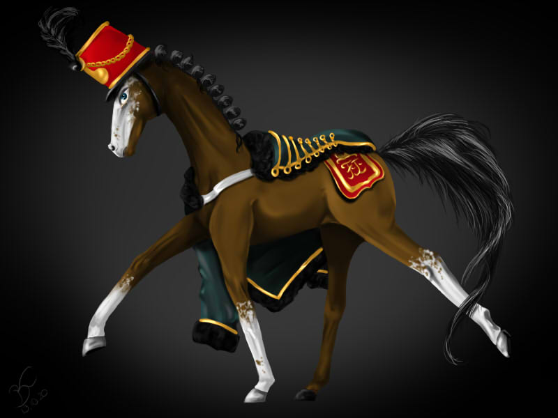 Hungarian Hussar