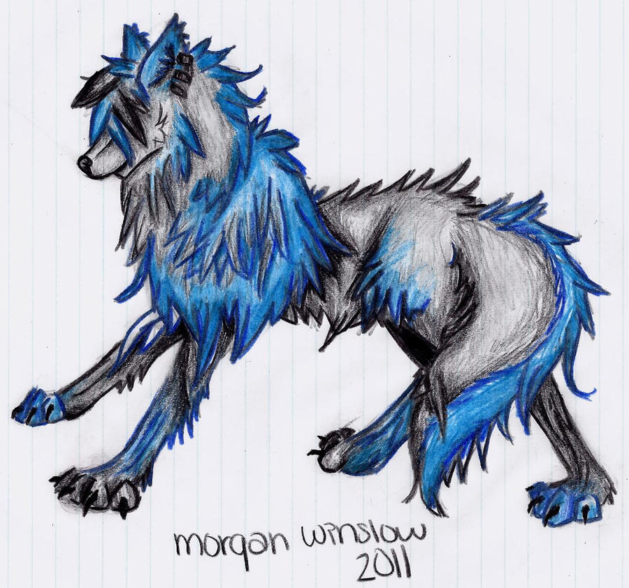 Blue Wolf Drawing by Morgalon on DeviantArt