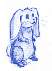 Bunny Sketch