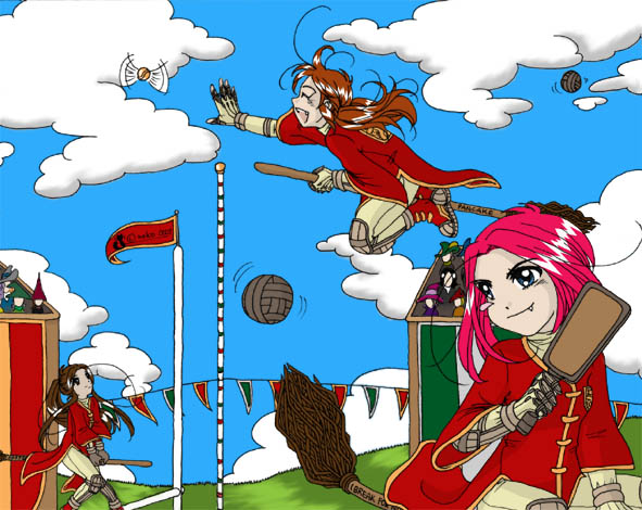 Anime'ls Go Quidditch