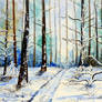 Winter in the forest