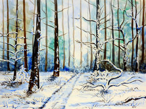 Winter in the forest