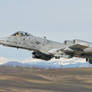 USAF A 10 Thunderbolt II