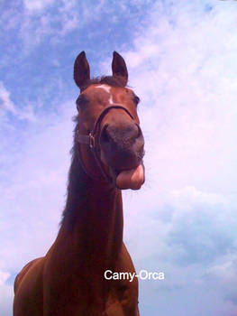make a funny face for me