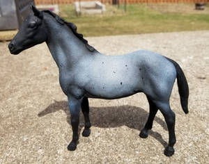 Custom Breyer Model