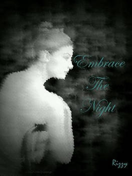 Embrace The Night