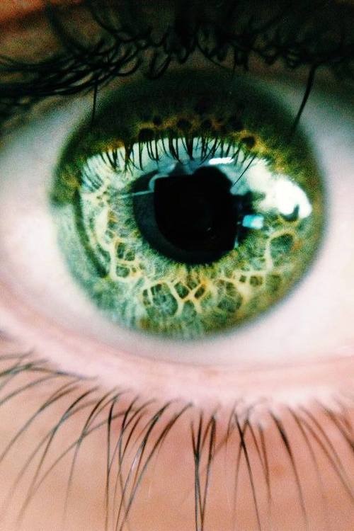 tumblr eye