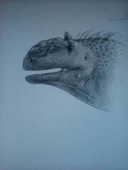 Majungasaurus crenatissimus