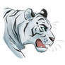 White tiger