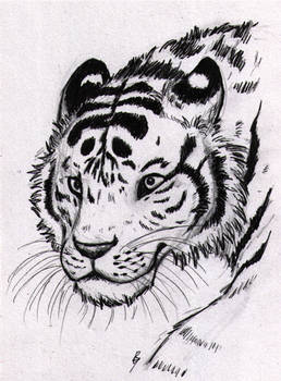 Inked tiger