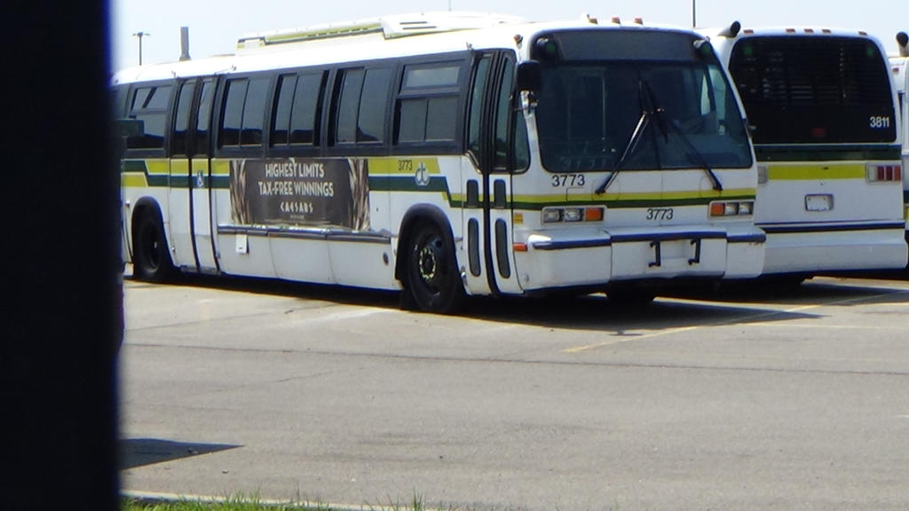 Two retired DDOT NovaBus RTS 82VN #3773 and #3811 by baul104 on DeviantArt